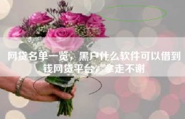 网贷名单一览，黑户什么软件可以借到钱网贷平台，拿走不谢