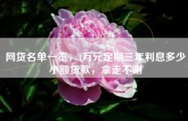 网贷名单一览，1万元定期三年利息多少小额贷款，拿走不谢