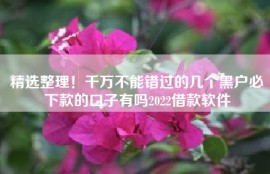 精选整理！千万不能错过的几个黑户必下款的口子有吗2022借款软件