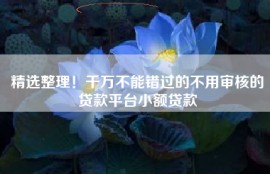 精选整理！千万不能错过的不用审核的贷款平台小额贷款