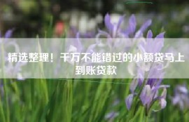 精选整理！千万不能错过的小额贷马上到账贷款
