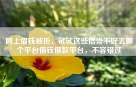 网上借钱被拒，试试这些信誉不好去哪个平台借钱借款平台，不容错过