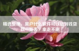 精选整理，黑户什么软件可以借到钱贷款一览表，拿走不谢