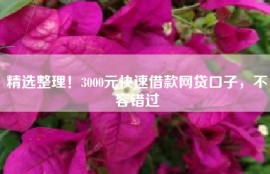 精选整理！3000元快速借款网贷口子，不容错过