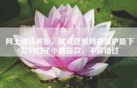 网上借钱被拒，试试这些网贷黑户能下款的口子小额贷款，不容错过
