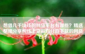 想借几千块钱的网贷平台有哪些？精选整理分享纯线上贷款百分百下款的网贷口子