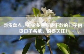 网贷盘点，无论多黑都能下款的口子网贷口子名单，值得关注！