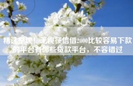 精选整理！无视征信借2000比较容易下款的平台有哪些贷款平台，不容错过
