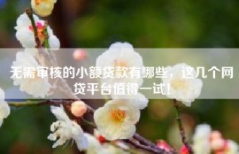 无需审核的小额贷款有哪些，这几个网贷平台值得一试！