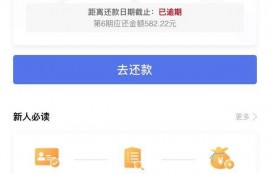 【啄木鸟投诉】要求信用钱包停止催收、赔偿名誉损失、解除合约