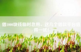 借1000块钱临时急用，这几个借款平台值得一试！