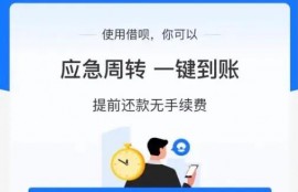 花呗、借呗、微粒贷、京东金条、美团借钱，哪家借钱成本高？