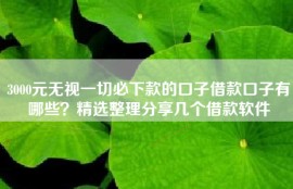 3000元无视一切必下款的口子借款口子有哪些？精选整理分享几个借款软件