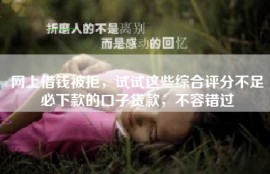 网上借钱被拒，试试这些综合评分不足必下款的口子贷款，不容错过