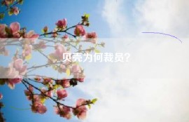 贝壳为何裁员？