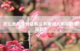 怎么查询身份证有没有被别人用来网络贷款？