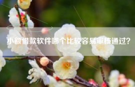 小额借款软件哪个比较容易审核通过？