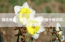 精选整理！借款一万哪里好借小额贷款，不容错过