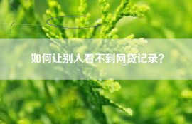 如何让别人看不到网贷记录？