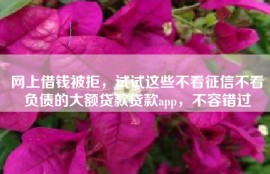 网上借钱被拒，试试这些不看征信不看负债的大额贷款贷款app，不容错过