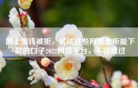 网上借钱被拒，试试这些网黑全拒能下款的口子2022网贷平台，不容错过
