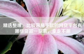 精选整理，比较容易下款的网贷平台有哪些贷款一览表，拿走不谢