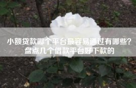 小额贷款哪个平台最容易通过有哪些？盘点几个借款平台好下款的