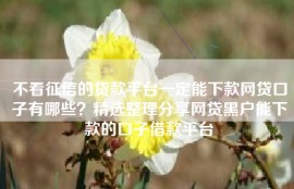 不看征信的贷款平台一定能下款网贷口子有哪些？精选整理分享网贷黑户能下款的口子借款平台
