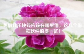 想借几千块钱应该在哪里借，这几个借款软件值得一试！