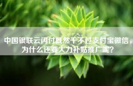 中国银联云闪付既然干不过支付宝微信，为什么还要大力补贴推广呢？