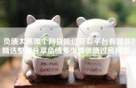 负债太高哪个网贷能过贷款平台有哪些？精选整理分享负债多少算负债过高网贷app