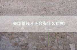 美团借钱不还会有什么后果?