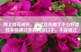 网上借钱被拒，试试这些哪个平台好借钱审核通过率高网贷口子，不容错过