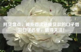 网贷盘点，被拒百次还能贷款的口子借款口子名单，值得关注！