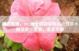 精选整理，2022晚上自动审核自动放款小额贷款一览表，拿走不谢