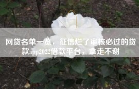 网贷名单一览，征信烂了审核必过的贷款app2022借款平台，拿走不谢