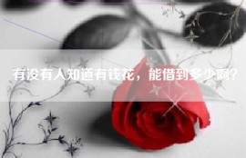 有没有人知道有钱花，能借到多少啊？