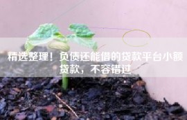 精选整理！负债还能借的贷款平台小额贷款，不容错过