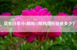 京东白条分6期和12期利息分别是多少？