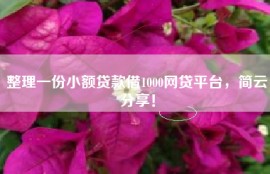 整理一份小额贷款借1000网贷平台，简云分享！