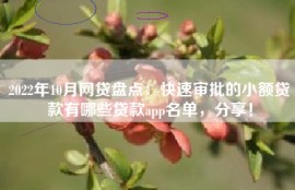 2022年10月网贷盘点：快速审批的小额贷款有哪些贷款app名单，分享！