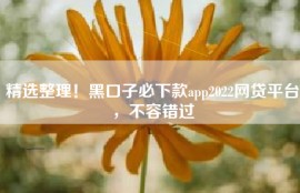 精选整理！黑口子必下款app2022网贷平台，不容错过