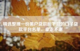 精选整理一份黑户贷款能下款的口子贷款平台名单，拿走不谢