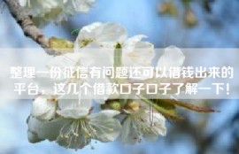 整理一份征信有问题还可以借钱出来的平台，这几个借款口子口子了解一下！