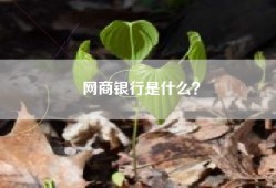 网商银行是什么？