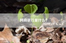 网商银行是什么？