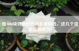 借1000块钱临时急用名单精选，这几个贷款实测有效！
