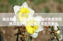 精选整理，小额贷款哪里最可靠直接到账贷款平台一览表，拿走不谢