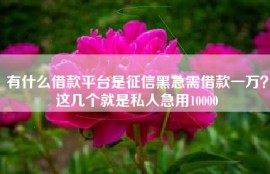 有什么借款平台是征信黑急需借款一万？这几个就是私人急用10000