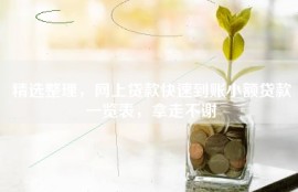 精选整理，网上贷款快速到账小额贷款一览表，拿走不谢
